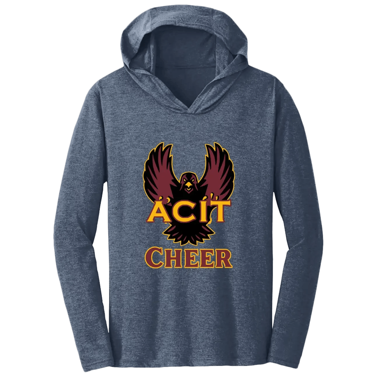 ACIT Cheer Hoodies