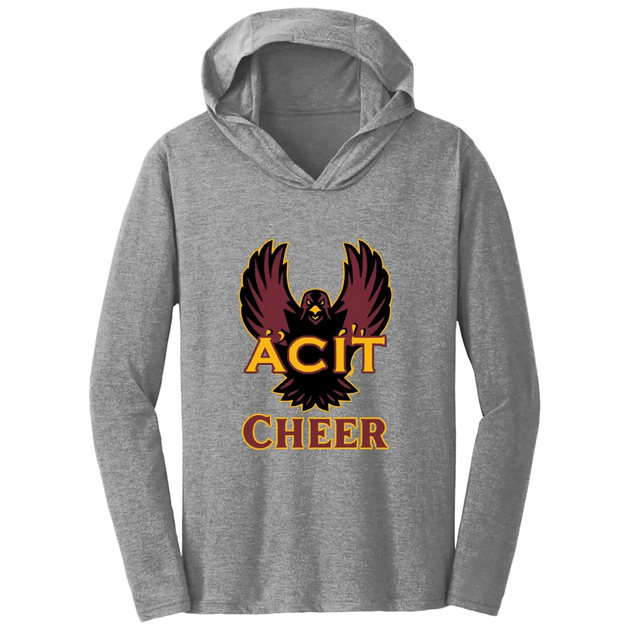 ACIT Cheer Hoodies