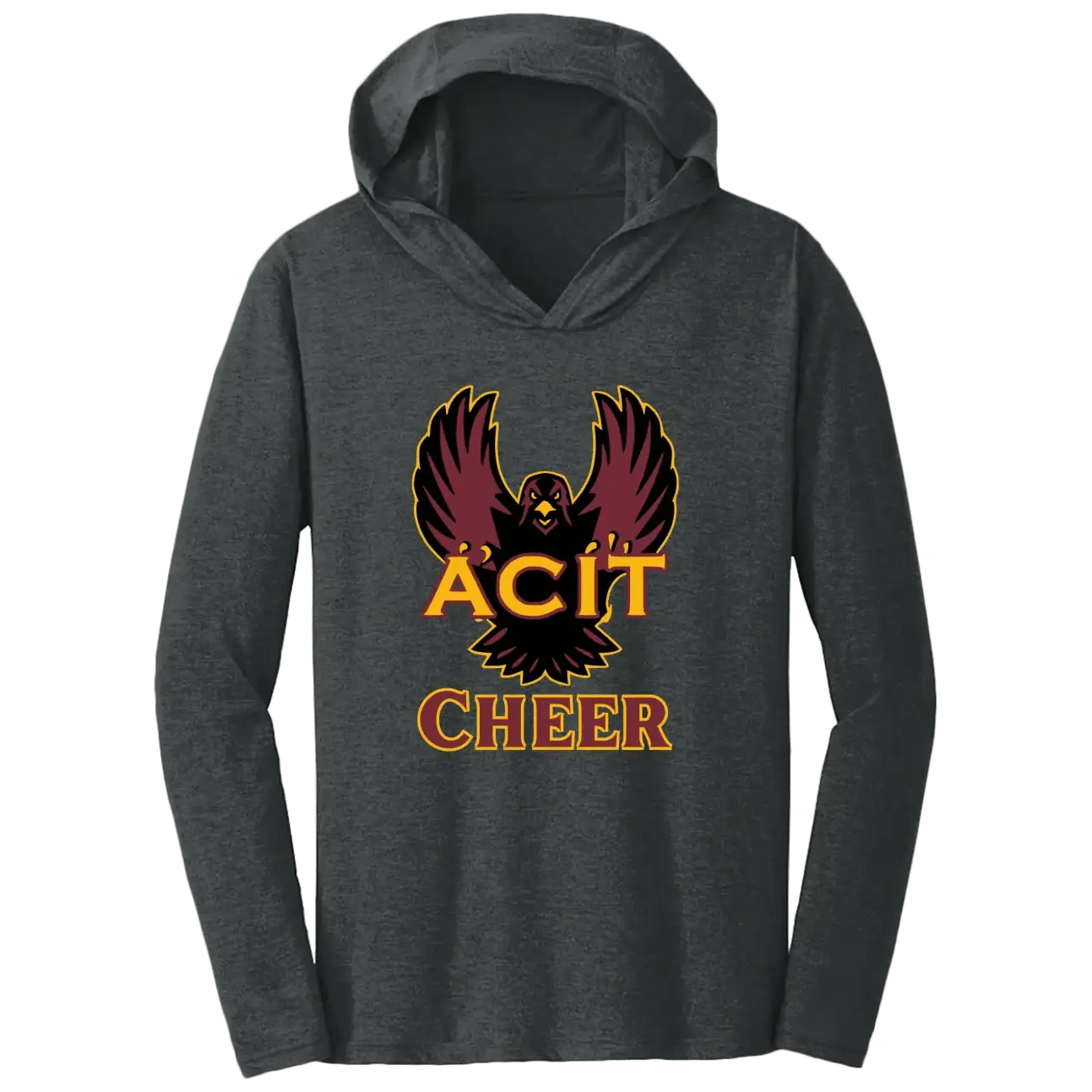 ACIT Cheer Hoodies