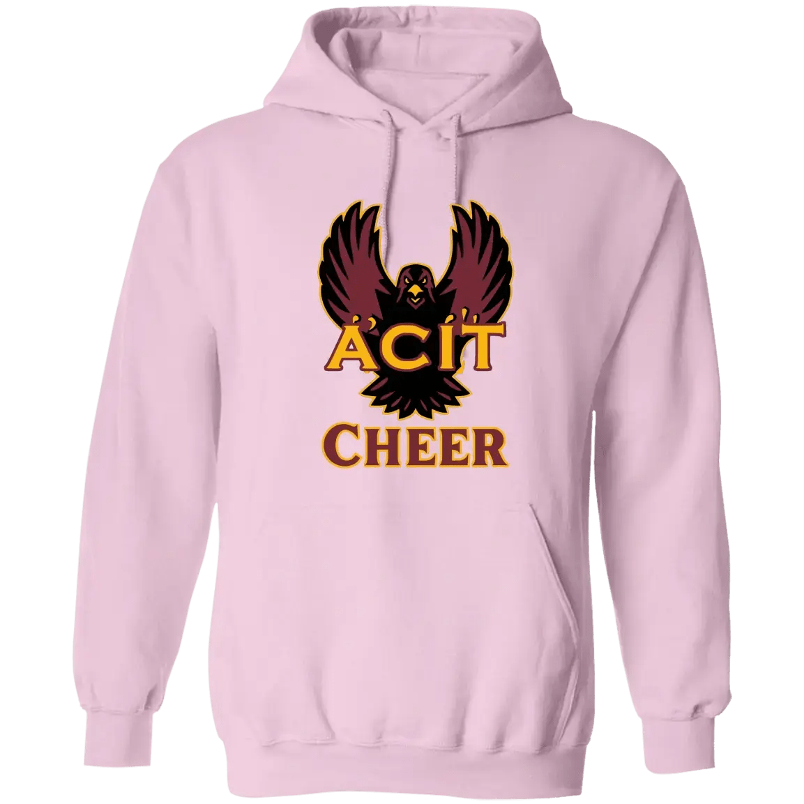 ACIT Cheer Hoodies