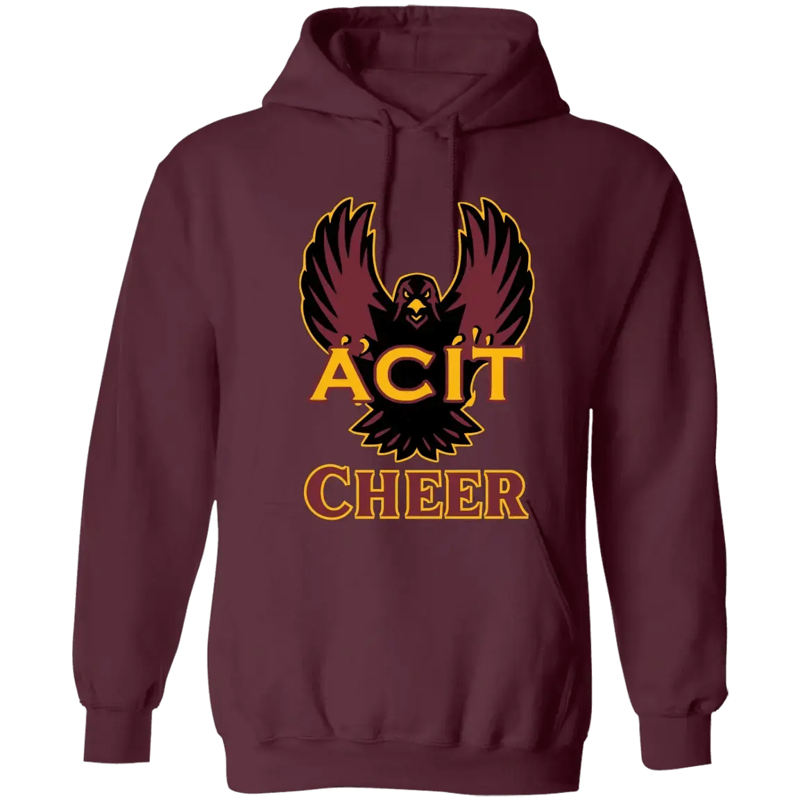 ACIT Cheer Hoodies