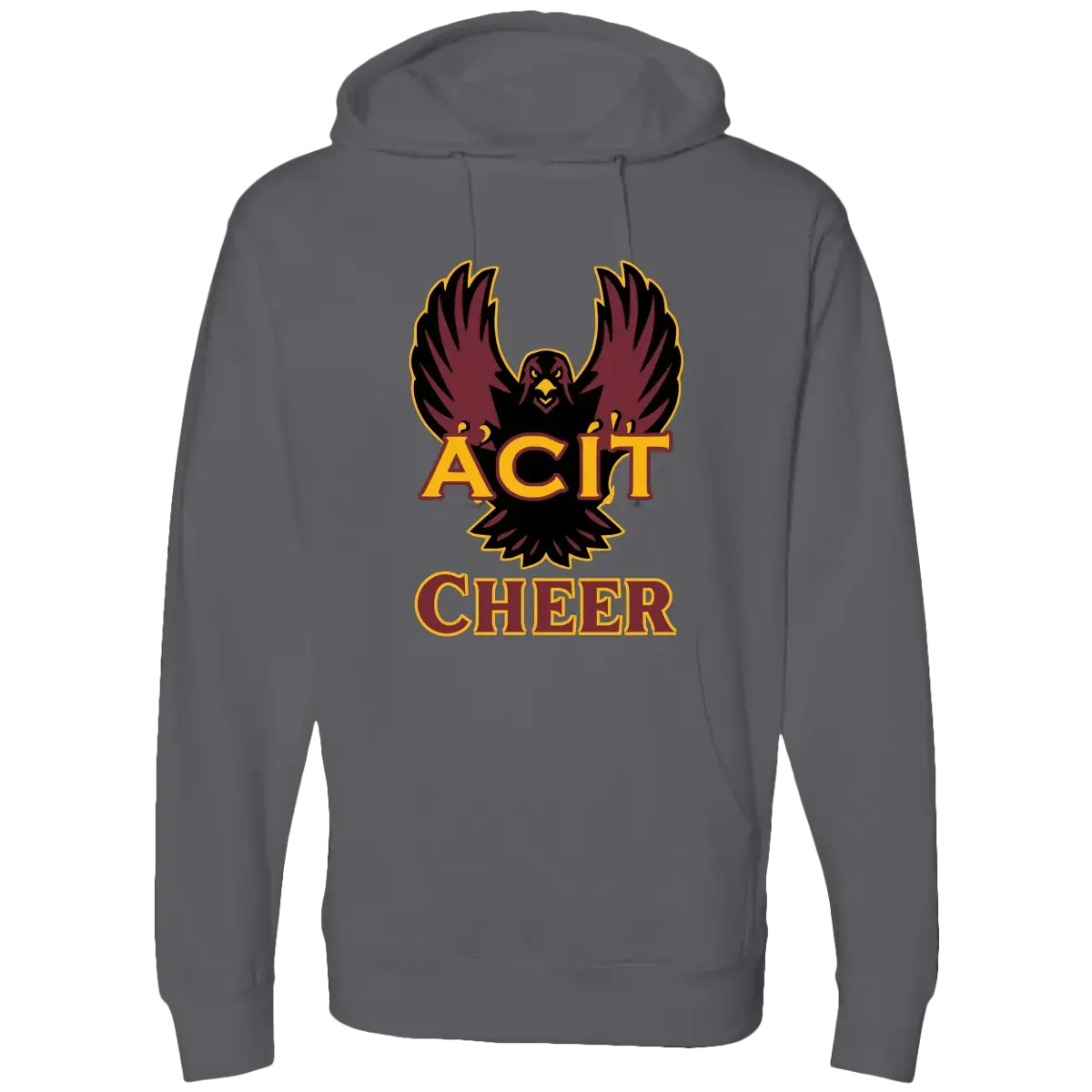 ACIT Cheer Hoodies