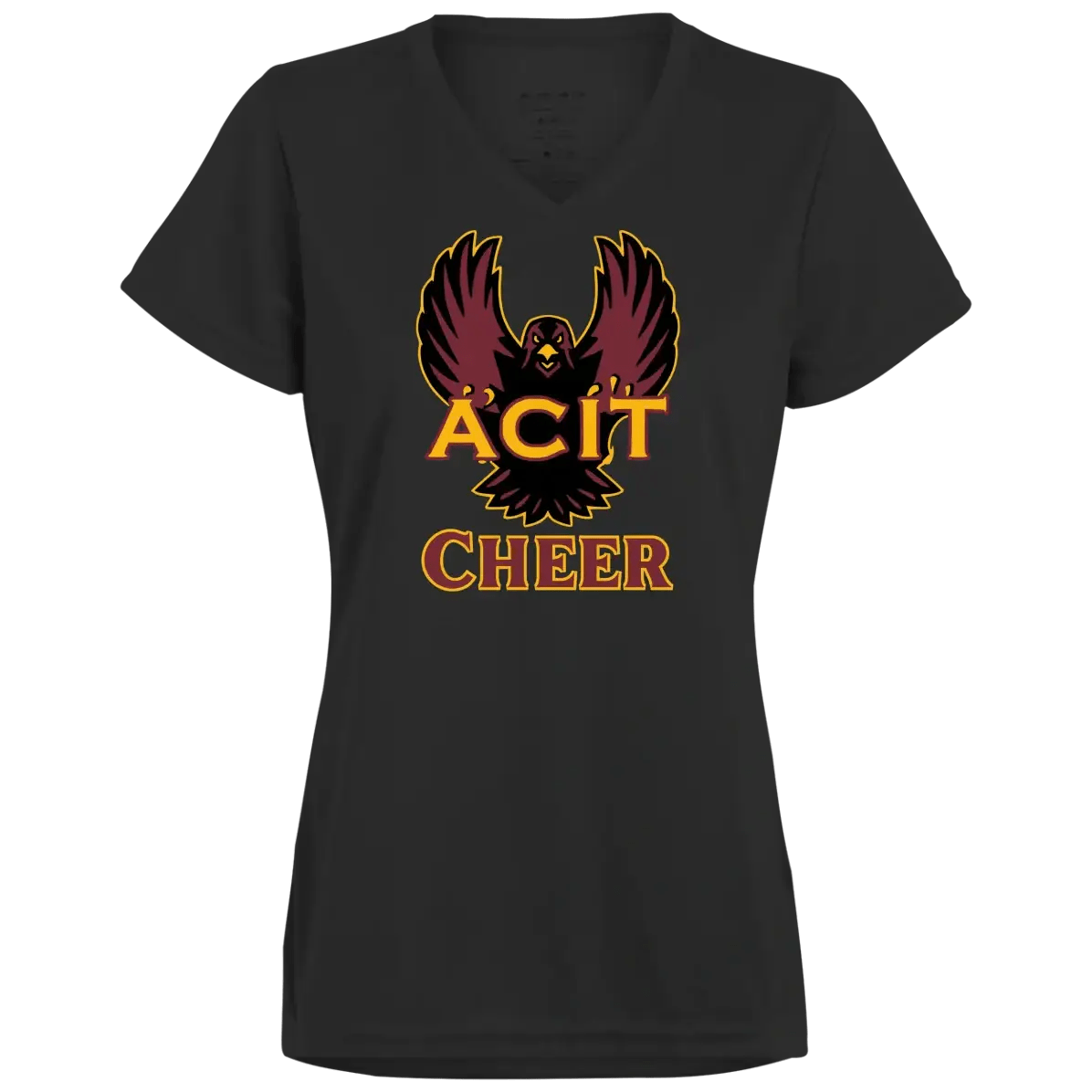 ACIT Cheer Ladies Tees