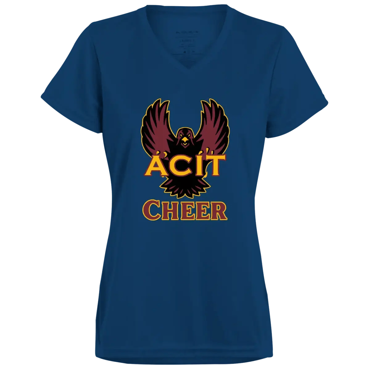 ACIT Cheer Ladies Tees