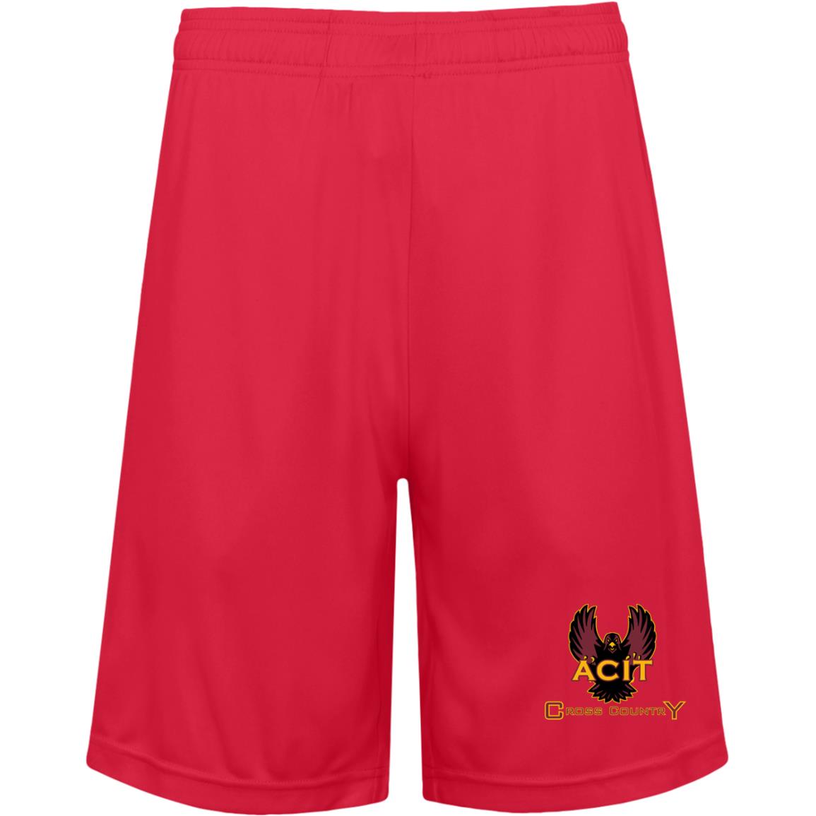 ACIT XC Shorts