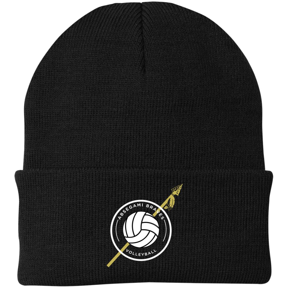 Gami V-Ball Embroidered Knit Cap