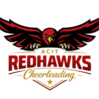 ACIT CHEER Thumbnail